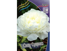 128,8���.���� ���� ������ (�������� ���� �� 2 ��., ����������� ����� 1��.).jpg