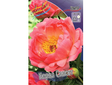 142,65���.���� ����� ������ (�������� ���� �� 2 ��., ����������� ����� 1��.).jpg