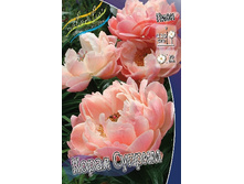 142,65���.���� ����� ������ (�������� ���� �� 2 ��., ����������� ����� 1��.).jpg