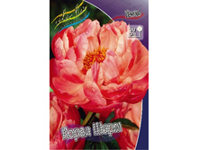 142,65���.���� ����� ���� (�������� ���� �� 2 ��., ����������� ����� 1��.).jpg