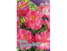 142,65���.���� ���� ������� ����� (�������� ���� �� 2 ��., ����������� ����� 1��.).jpg