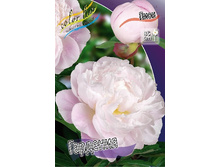 189,55���.���� �������� (�������� ���� �� 2 ��., ����������� ����� 1��.).jpg