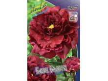 211,75���.���� ���� ����� (�������� ���� �� 2 ��., ����������� ����� 1��.).jpg