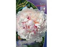 211,75���.���� ��������� ���� (�������� ���� �� 2 ��., ����������� ����� 1��.).jpg