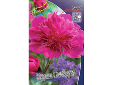 211,75���.���� ����� ������� (�������� ���� �� 2 ��., ����������� ����� 1��.).jpg