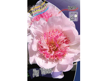 255,7���.���� �� ���� (�������� ���� �� 1 ��., ����������� ����� 1��.).jpg