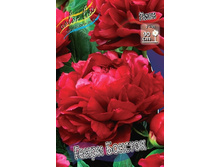 285,3���.���� ����� ������� (�������� ���� �� 1 ��., ����������� ����� 1��.).jpg