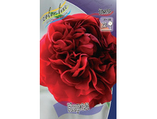 354,4���.���� ����� (�������� ���� �� 1 ��., ����������� ����� 1��.).jpg