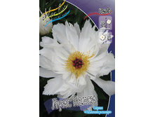 152,5���.���� ���� ����� (�������� ���� �� 2 ��., ����������� ����� 1��.).jpg