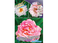 255,7���.���� ����� ������� (�������� ���� �� 1 ��., ����������� ����� 1��.).jpg