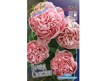 1075,1���.���� ����� ������ (�������� ���� �� 1 ��., ����������� ����� 1��.).jpg