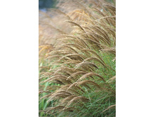 58,23���.��������� ����� ���������� (�������� ���� �� 3 ��., ����������� ����� 1��.).jpg