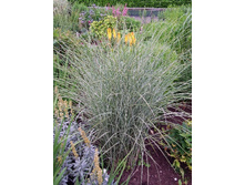 58,23���.��������� ������� ���� (�������� ���� �� 3 ��., ����������� ����� 1��.).jpg