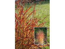 58,23���.������� �������� (�������� ���� �� 3 ��., ����������� ����� 1��.).jpg