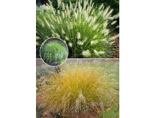 58,23���.���������� ������� (�������� ���� �� 3 ��., ����������� ����� 1��.).jpg