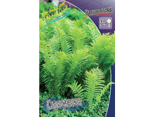 78,45���.��������� (����������) (�������� ���� �� 2 ��., ����������� ����� 1��.).jpg