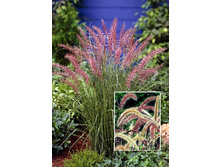 83,4���.���������� ������ ���� (�������� ���� �� 2 ��., ����������� ����� 1��.).jpg