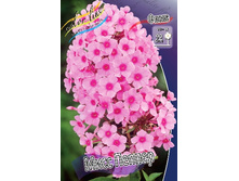 26,64���.����� ���� ������ (�������� ���� �� 5 ��., ����������� ����� 1��.).jpg