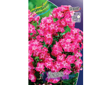 63,96���.����� ����� (�������� ���� �� 5 ��., ����������� ����� 1��.).jpg