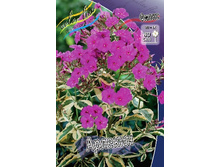 69,1���.����� ������� (�������� ���� �� 3 ��., ����������� ����� 1��.).jpg