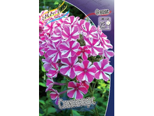 69,1���.����� �������� (�������� ���� �� 3 ��., ����������� ����� 1��.).jpg