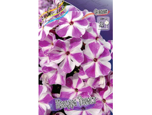 78,97���.����� ����� ����� (�������� ���� �� 3 ��., ����������� ����� 1��.).jpg