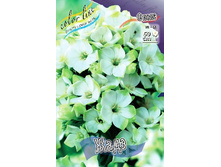 90,62���.����� NEON ���� (�������� ���� �� 5 ��., ����������� ����� 1��.).jpg