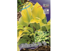 36,32���.����� �������� �� �� (�������� ���� �� 5 ��., ����������� ����� 1��.).jpg