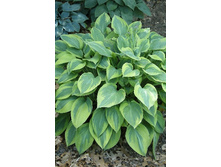 93,25���.����� ����� ������� (�������� ���� �� 2 ��., ����������� ����� 1��.).jpg