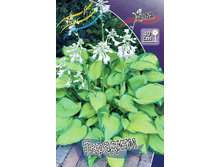 98,2���.����� �������� (�������� ���� �� 2 ��., ����������� ����� 1��.).jpg