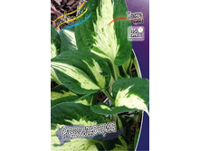 103,15���.����� ��������� (�������� ���� �� 2 ��., ����������� ����� 1��.).jpg