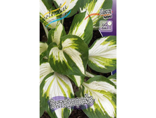 111,53���.����� ���������� (�������� ���� �� 3 ��., ����������� ����� 1��.).jpg