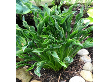 113���.����� ������ ����� (�������� ���� �� 2 ��., ����������� ����� 1��.).jpg