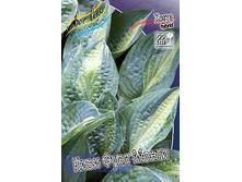 121,9���.����� ���� ���� ����� (�������� ���� �� 2 ��., ����������� ����� 1��.).jpg