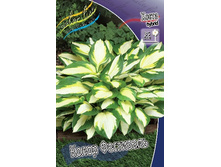 122,9���.����� ����� ��������� (�������� ���� �� 2 ��., ����������� ����� 1��.).jpg