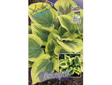 122,9���.����� ������� (�������� ���� �� 2 ��., ����������� ����� 1��.).jpg