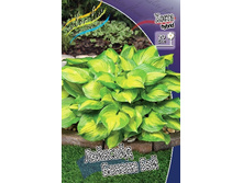 122,9���.����� �������� ������ ��� (�������� ���� �� 2 ��., ����������� ����� 1��.).jpg