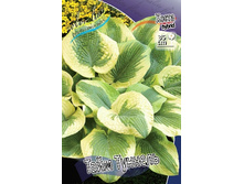 122,9���.����� ���� ������� (�������� ���� �� 2 ��., ����������� ����� 1��.).jpg