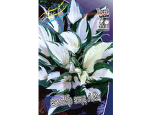 122,9���.����� ���� ��� ��� (�������� ���� �� 2 ��., ����������� ����� 1��.).jpg