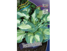 128,8���.����� ��������� (�������� ���� �� 2 ��., ����������� ����� 1��.).jpg