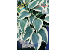 142,65���.����� ��� ������ (�������� ���� �� 2 ��., ����������� ����� 1��.).jpg