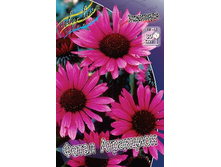 122,9���.�������� ����� ���������� (�������� ���� �� 2 ��., ����������� ����� 1��.).jpg