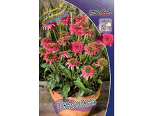 162,4���.�������� ��������� (�������� ���� �� 2 ��., ����������� ����� 1��.).jpg