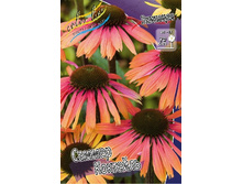 162,4���.�������� ������ �������� (�������� ���� �� 2 ��., ����������� ����� 1��.).jpg