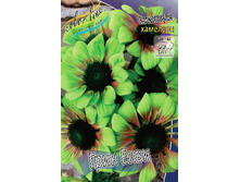 199,9���.�������� ���� ���� (�������� ���� �� 2 ��., ����������� ����� 1��.).jpg