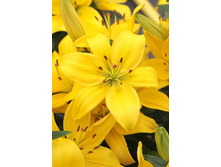 16,73���.�����  ���� ������� (��� 10 ��. ���������� ������ 5��.).jpg