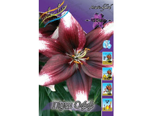 15,12���.�����  ��� ��� (��� 10 ��. ���������� ������ 5��.).jpg