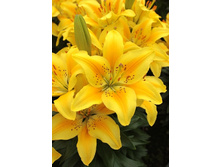 20,04���.�����  ������� ���� (���������� �� ����� �������� �� 5��.).jpg