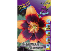 17,27���.�����  ������� ������� (��� 10 ��. ���������� ������ 5��.).jpg