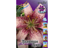 17,27���.�����  �������� ���� (��� 10 ��. ���������� ������ 5��.).jpg